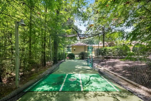 a view of a yard with plants and large trees