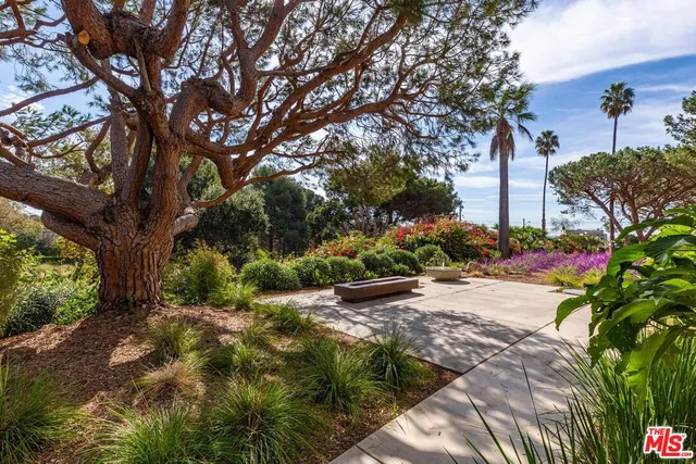 a view of a pathway with a tree