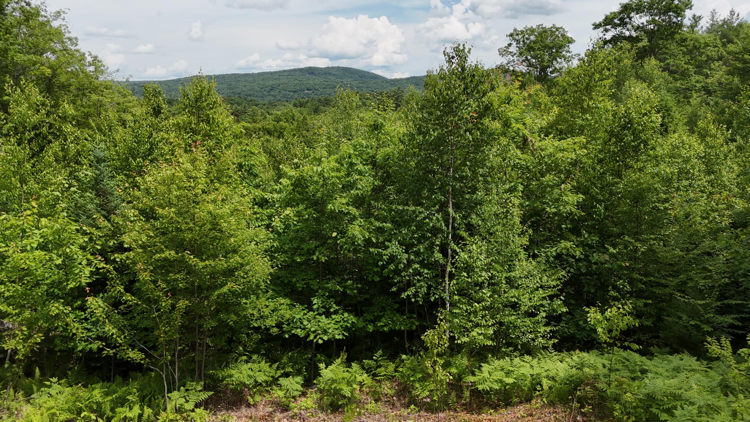 4 Youngs Road Canton, ME 04221 - Photo 1 of 4 DJI_20260625133514_0210_D