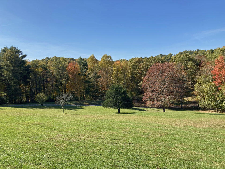 291 Lovell Road Northeast Pilot, VA 24138 - Photo 1 of 19 Picture of Land
