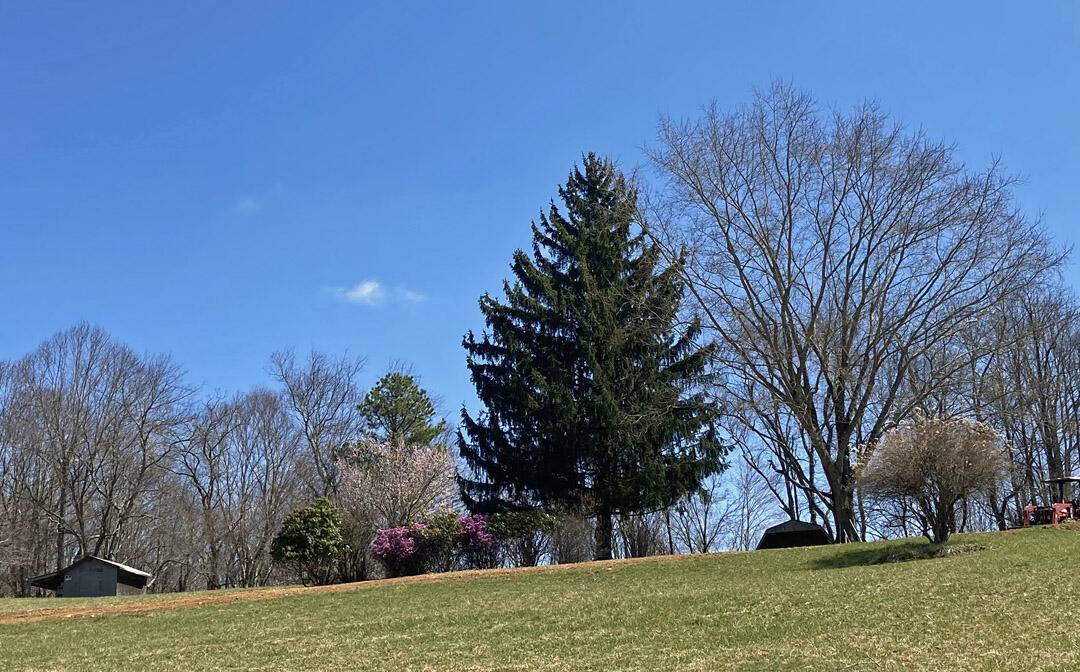 291 Lovell Road Northeast Pilot, VA 24138 - Photo 11 of 19 11