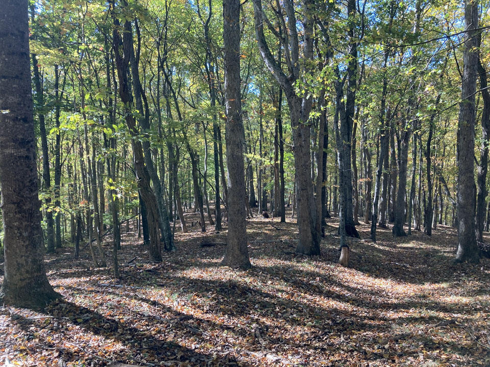 291 Lovell Road Northeast Pilot, VA 24138 - Photo 12 of 19 12