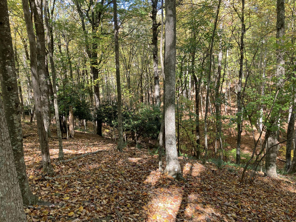 291 Lovell Road Northeast Pilot, VA 24138 - Photo 13 of 19 13