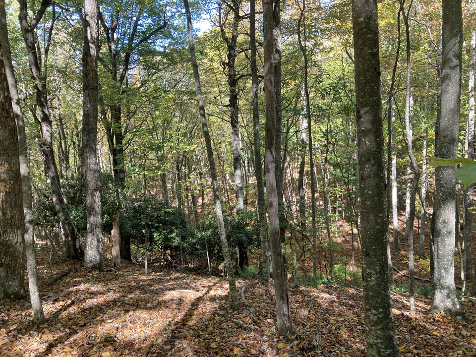 291 Lovell Road Northeast Pilot, VA 24138 - Photo 14 of 19 14