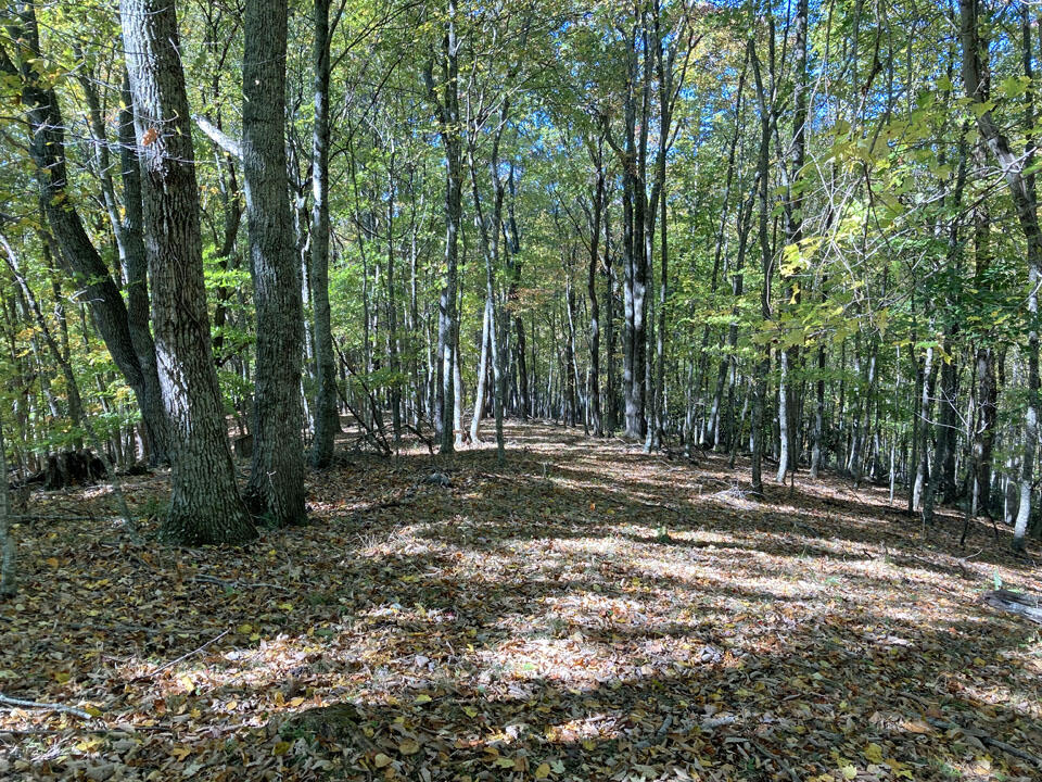 291 Lovell Road Northeast Pilot, VA 24138 - Photo 15 of 19 15