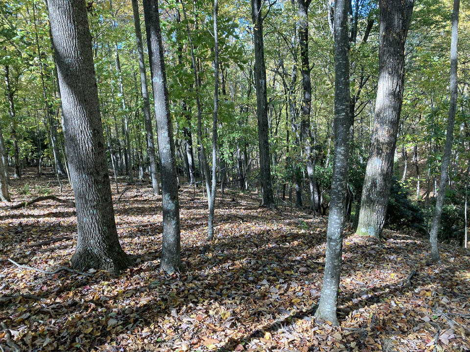 291 Lovell Road Northeast Pilot, VA 24138 - Photo 16 of 19 16