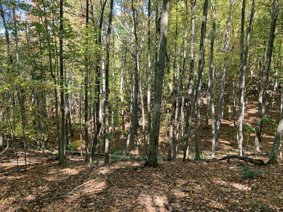 291 Lovell Road Northeast Pilot, VA 24138 - Photo 18 of 19 18