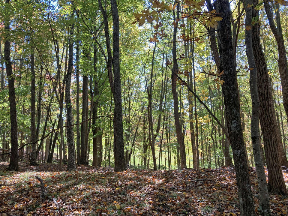 291 Lovell Road Northeast Pilot, VA 24138 - Photo 19 of 19 19