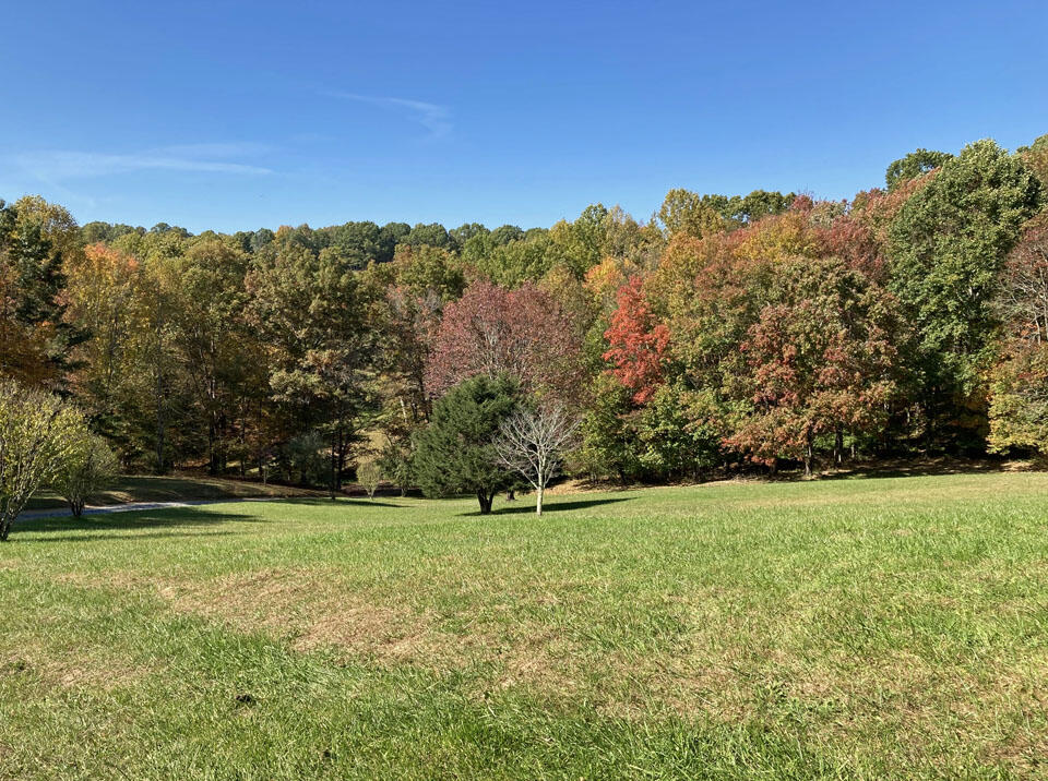 291 Lovell Road Northeast Pilot, VA 24138 - Photo 2 of 19 2
