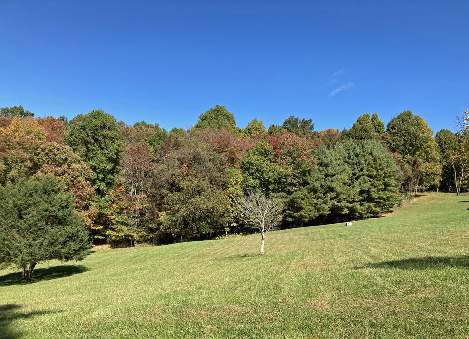 291 Lovell Road Northeast Pilot, VA 24138 - Photo 8 of 19 8