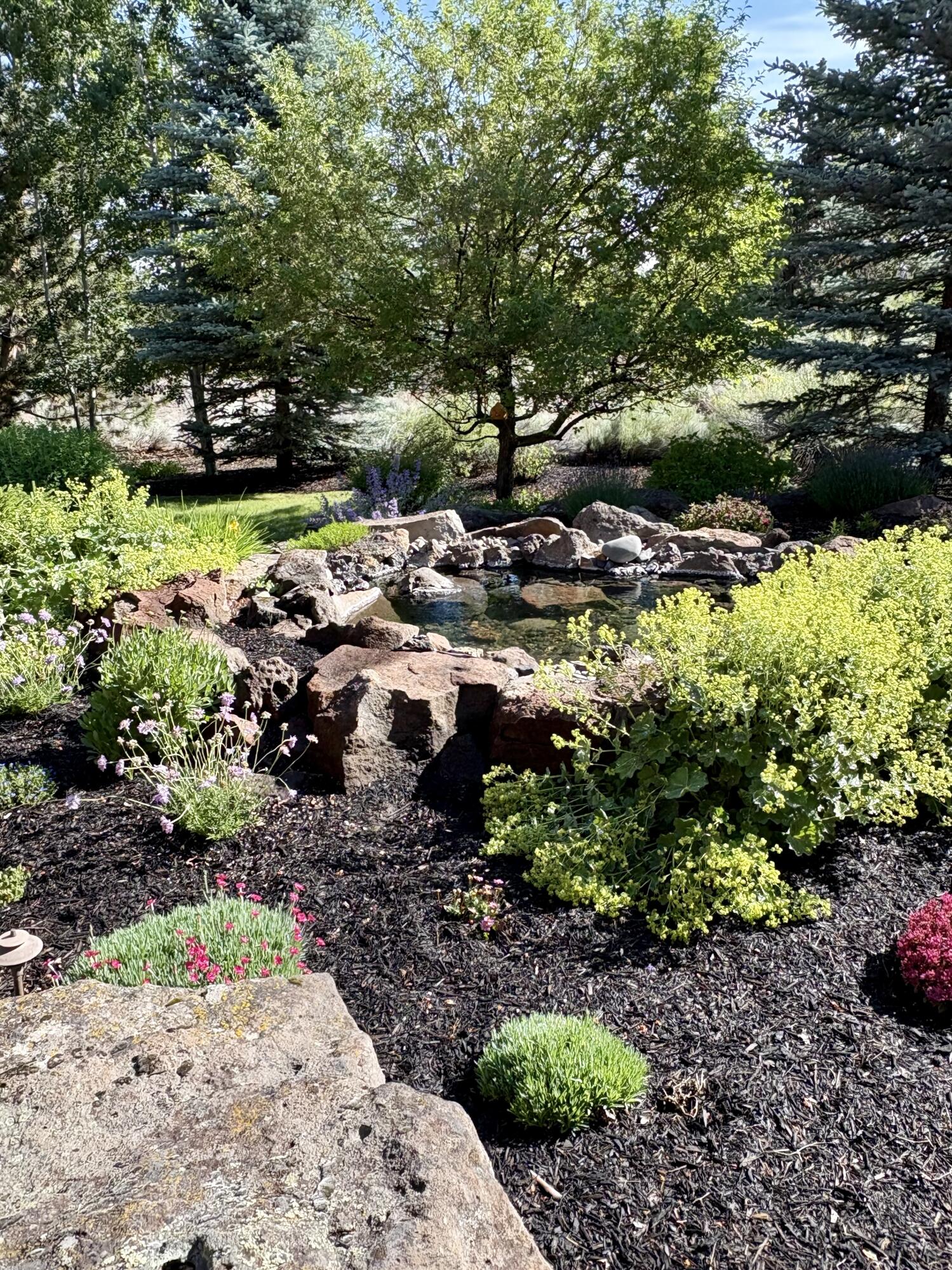 23098 Watercourse Way Bend, OR 97701 - Photo 26 of 30 26. Exterior Back Landscaping