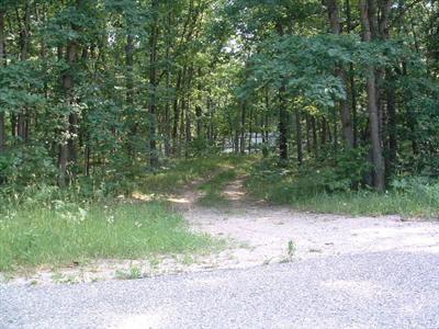 1979 West Webster Road Montague, MI 49437 - Photo 1 of 9 Primary Photo