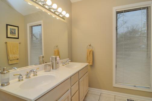 25W730 Jewell Road Wheaton, IL 60187 - Photo 10 of 16 a bathroom with a sink vanity and a mirror