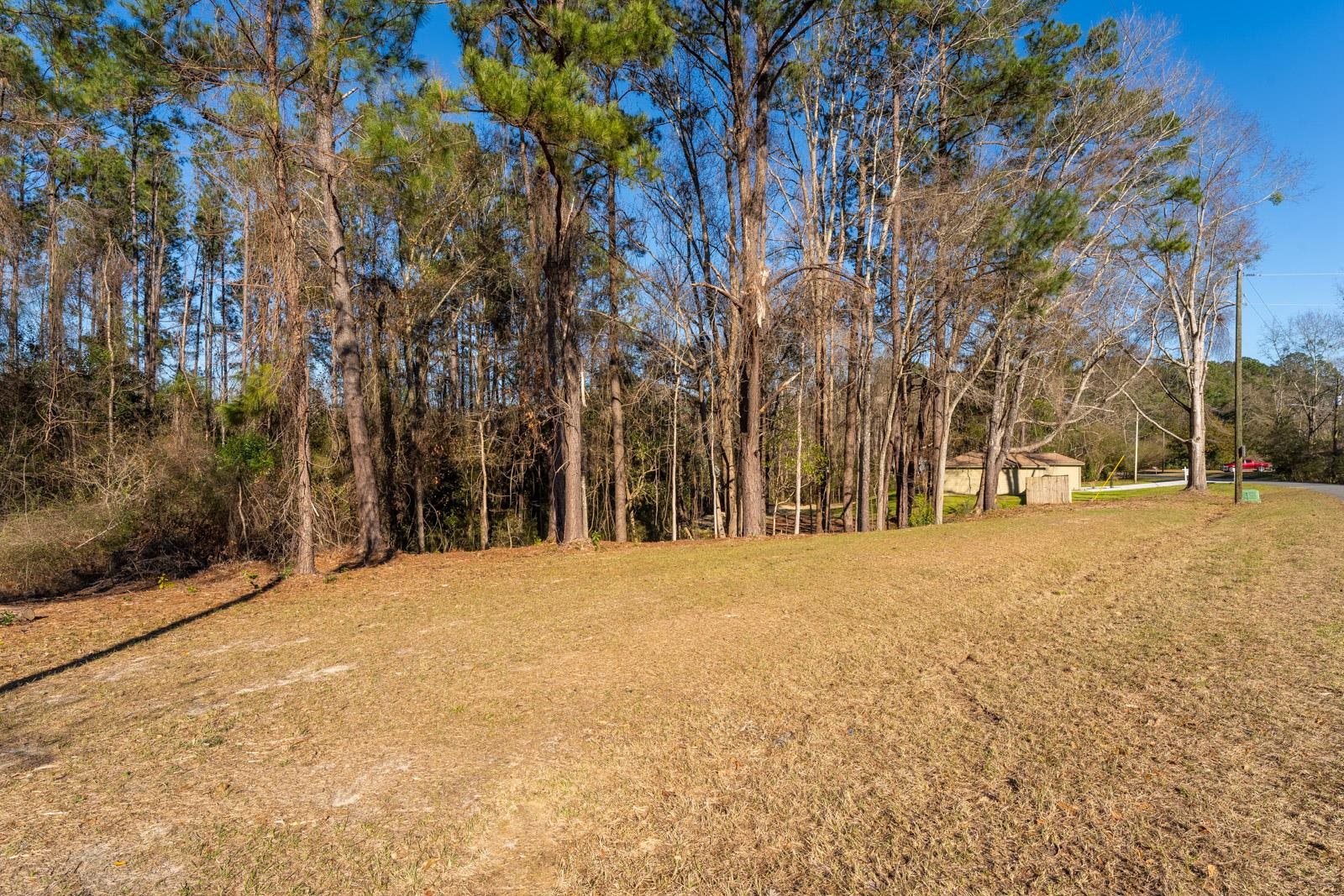 85 Sierra Road Havana, FL 32333 - Photo 2 of 35 Gallery Image 2