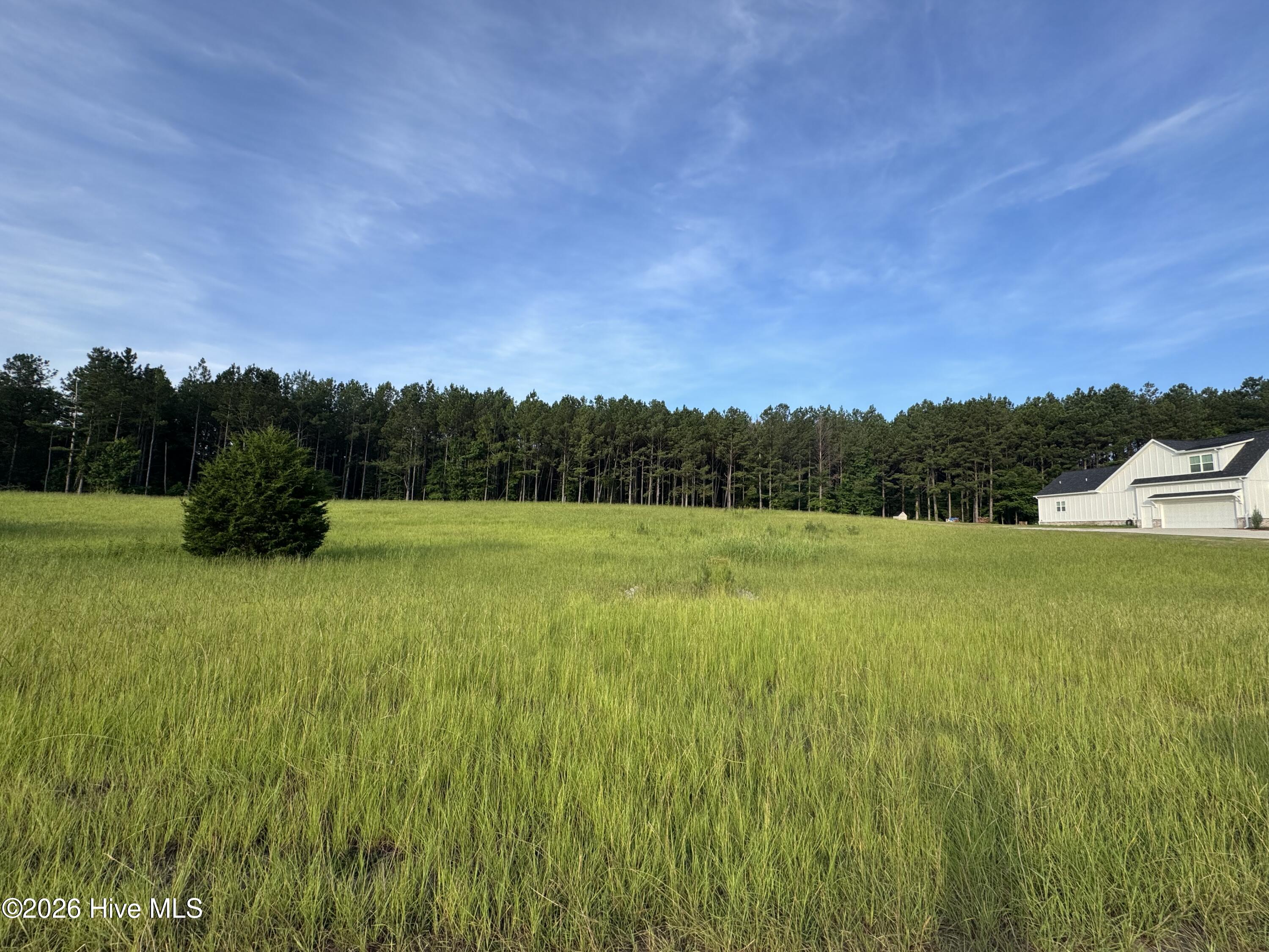 415 Arthur Grimaud Way Appling, GA 30802 - Photo 2 of 3