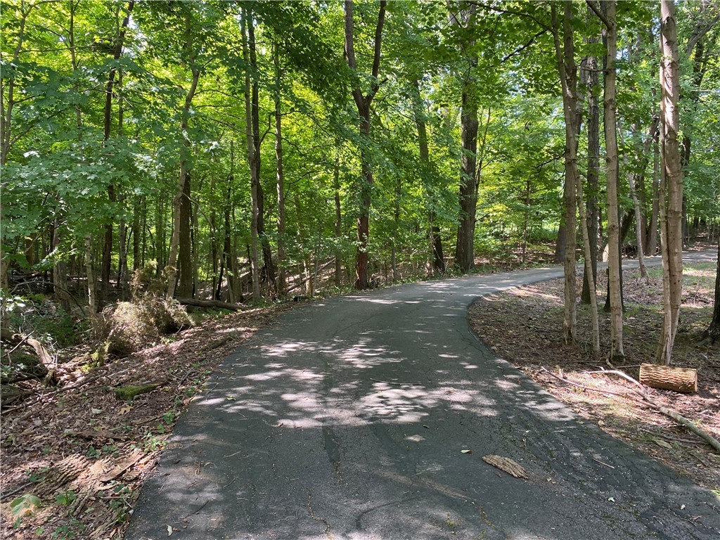 6703 State 1 Route Georgetown, IL 61846 - Photo 4 of 48