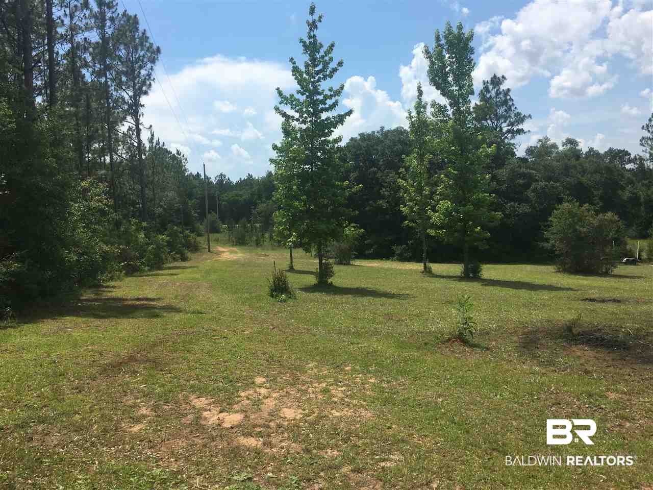 19350 County Road 87 Elberta, AL 36530 - Photo 1 of 4