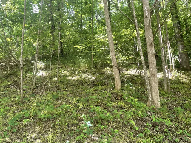 $50,000 | 0 Harbor Drive, Lancaster, TN 38569