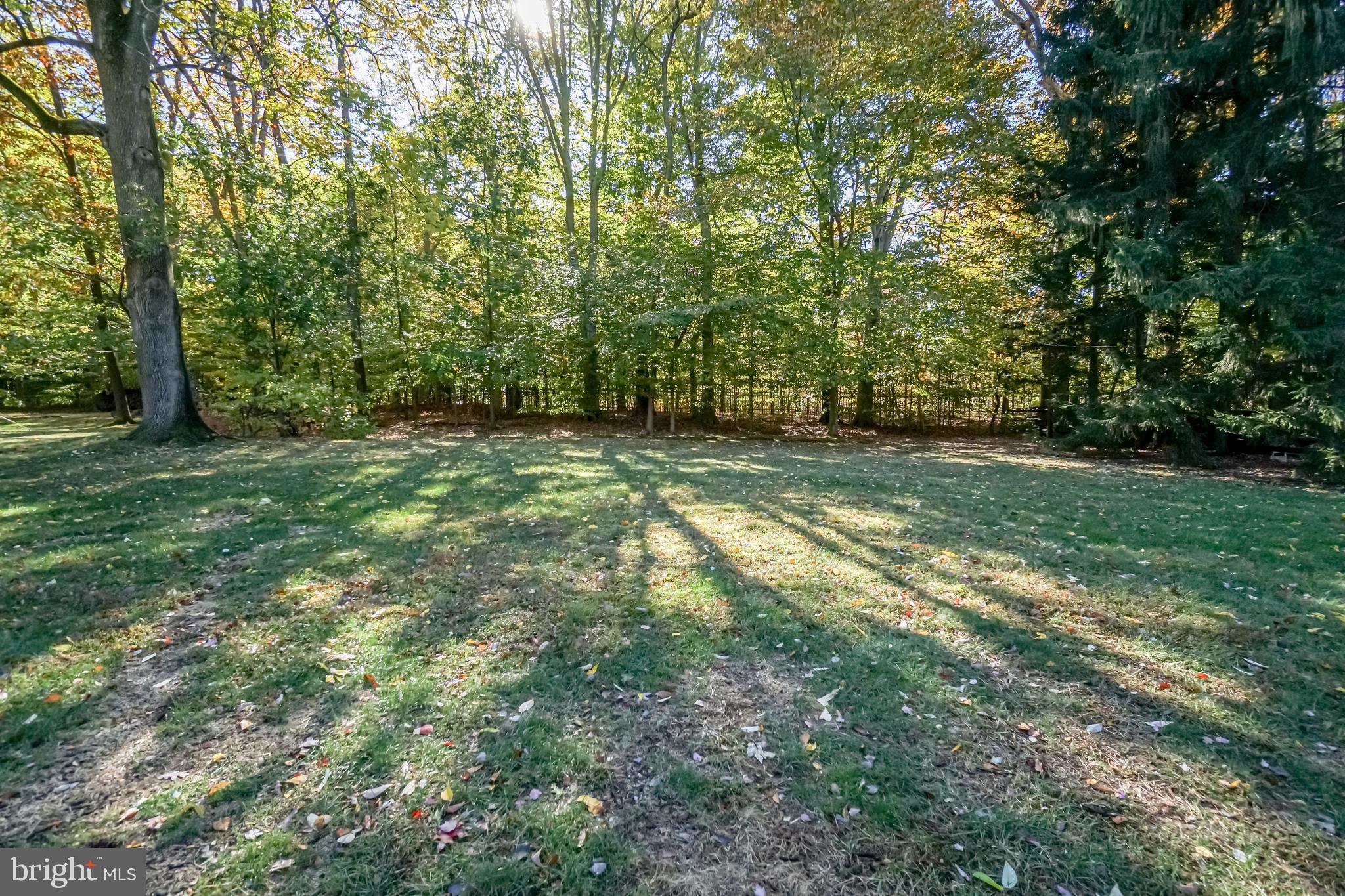 202 Welwyn Road Wilmington, DE 19803 - Photo 27 of 30 Private, scenic backyard