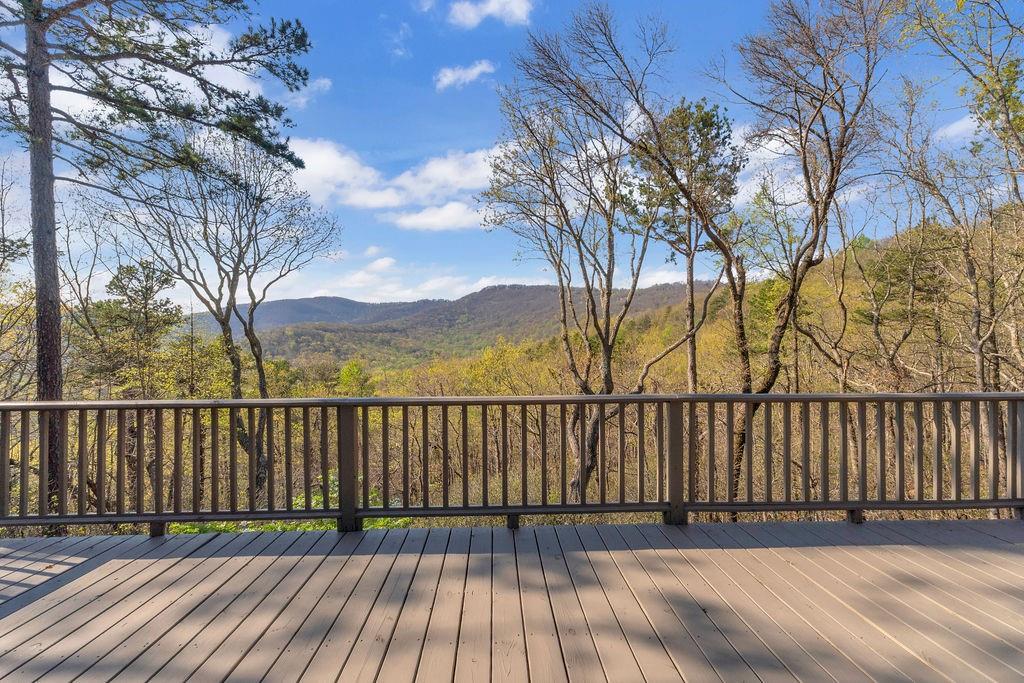188 Tea Berry Lane Jasper, GA 30143 - Photo 39 of 93