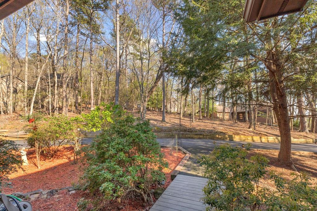 188 Tea Berry Lane Jasper, GA 30143 - Photo 4 of 93