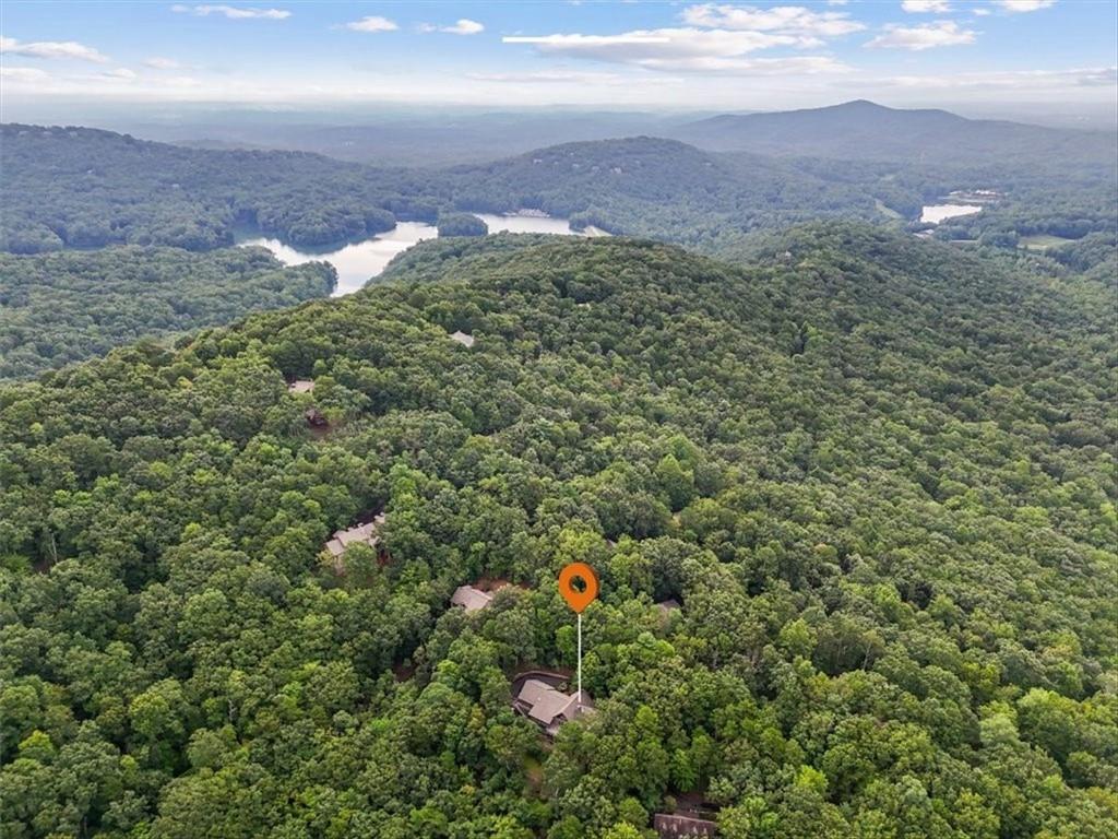 188 Tea Berry Lane Jasper, GA 30143 - Photo 54 of 68