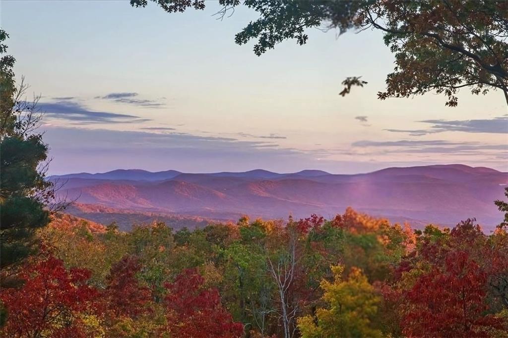 188 Tea Berry Lane Jasper, GA 30143 - Photo 57 of 68