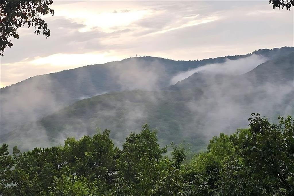 188 Tea Berry Lane Jasper, GA 30143 - Photo 58 of 68 a view of a dry yard with a mountain