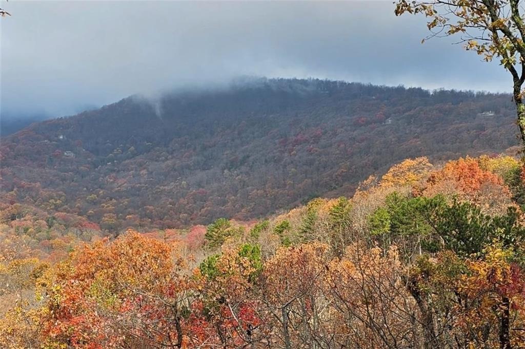 188 Tea Berry Lane Jasper, GA 30143 - Photo 60 of 68 a view of lake view and mountain view