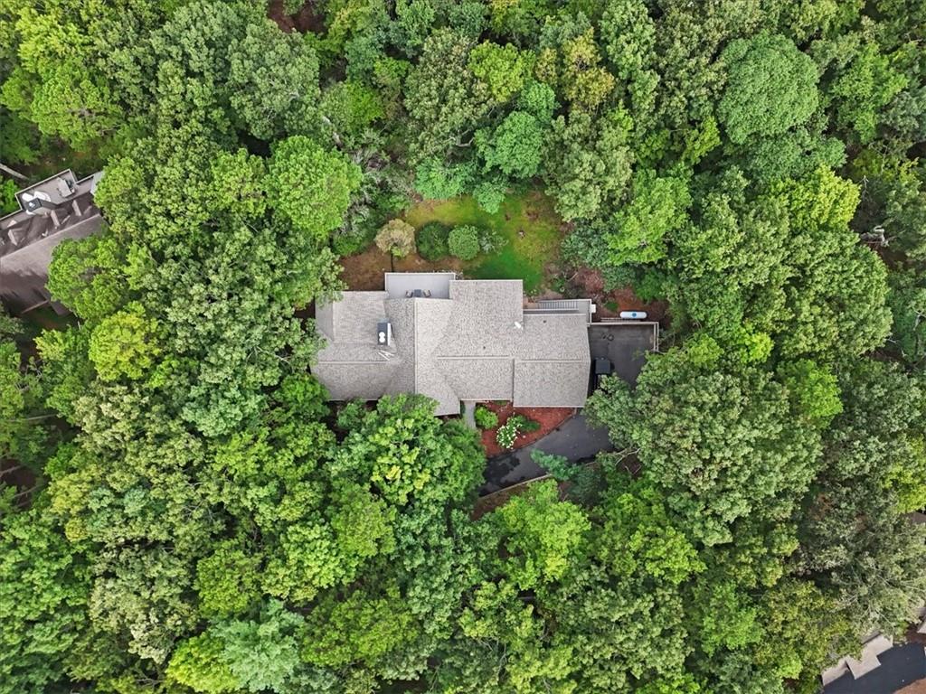 188 Tea Berry Lane Jasper, GA 30143 - Photo 70 of 93
