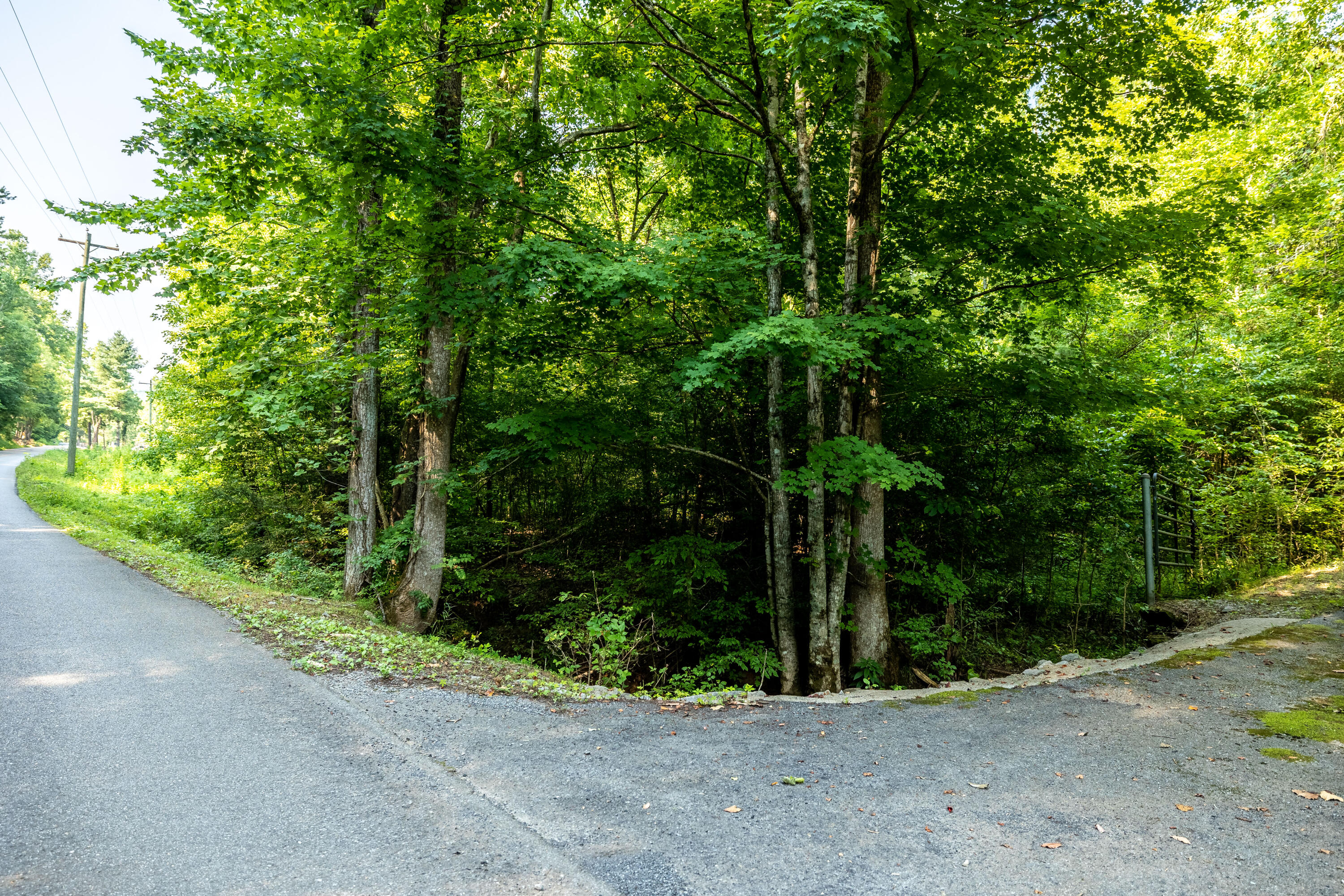 Allegheny Loop Rd Road Maryville, TN 37803 - Photo 11 of 40 6mile-38