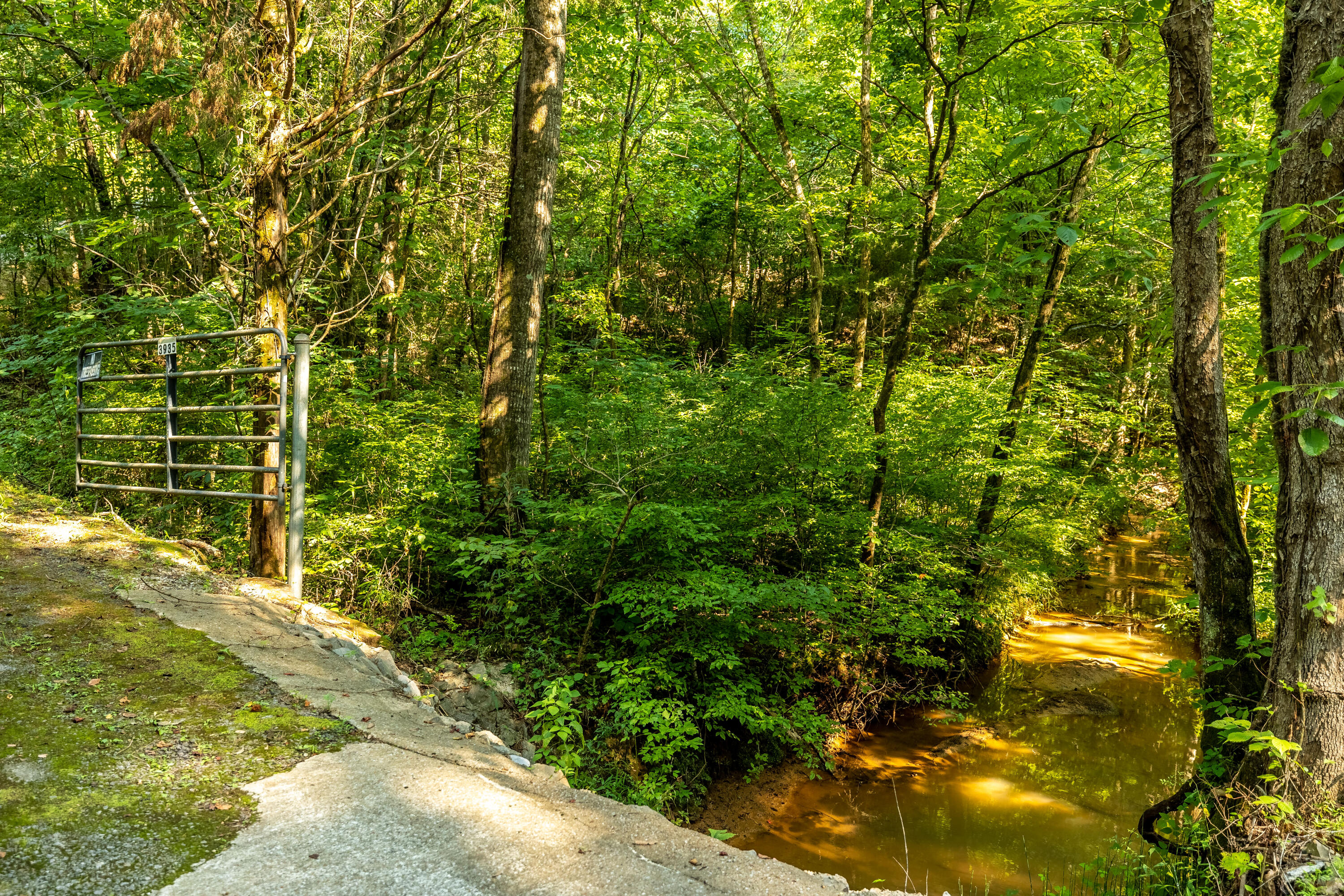 Allegheny Loop Rd Road Maryville, TN 37803 - Photo 12 of 40 6mile-37