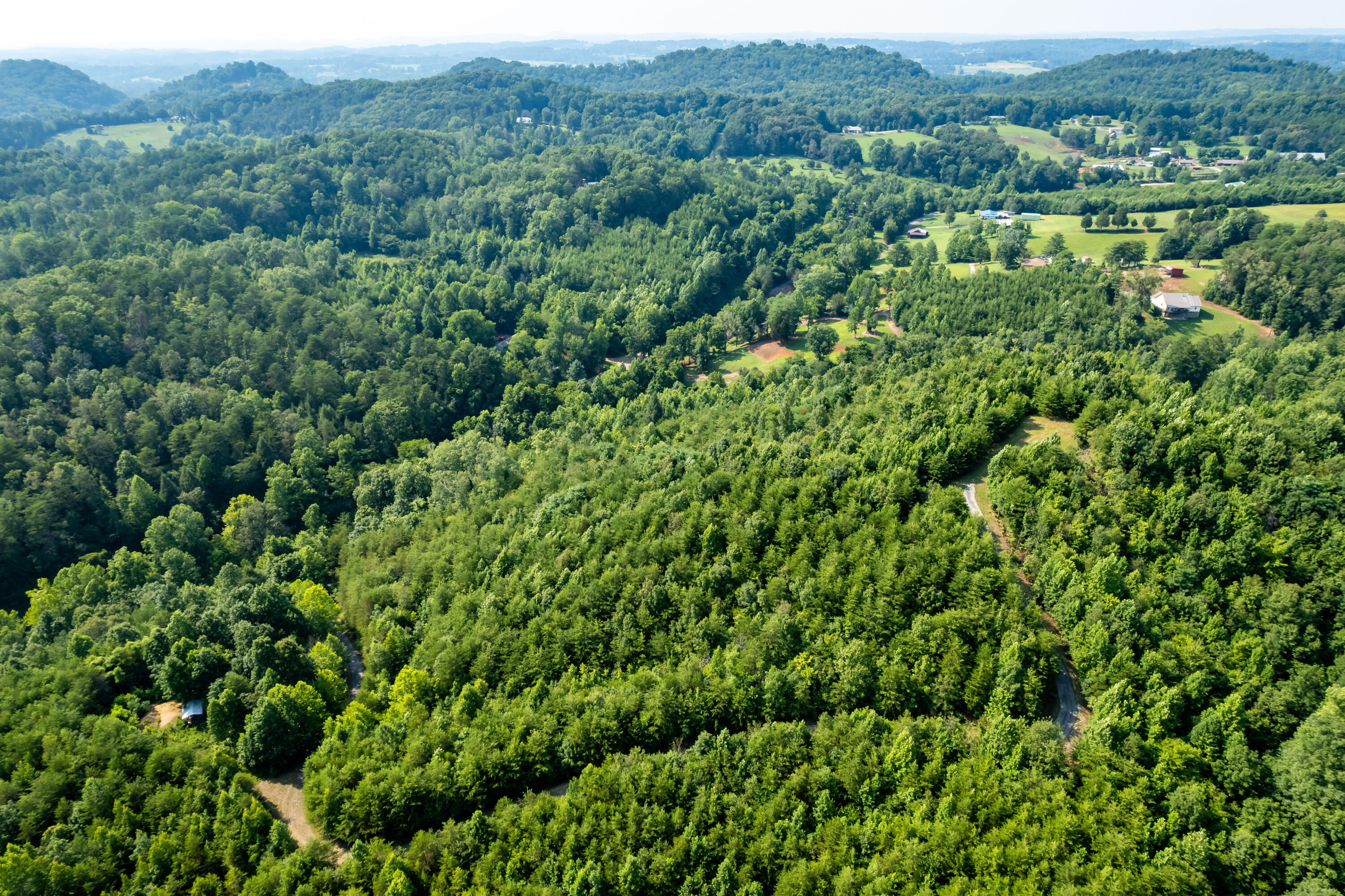 Allegheny Loop Rd Road Maryville, TN 37803 - Photo 13 of 40 6mile-31