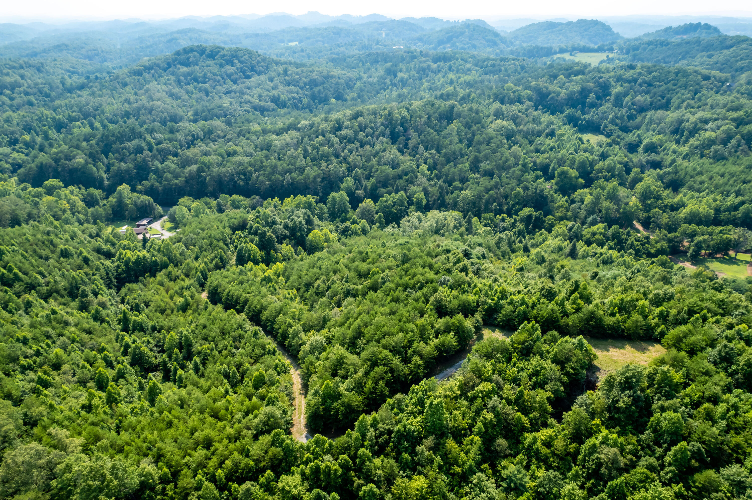 Allegheny Loop Rd Road Maryville, TN 37803 - Photo 20 of 40 6mile-29