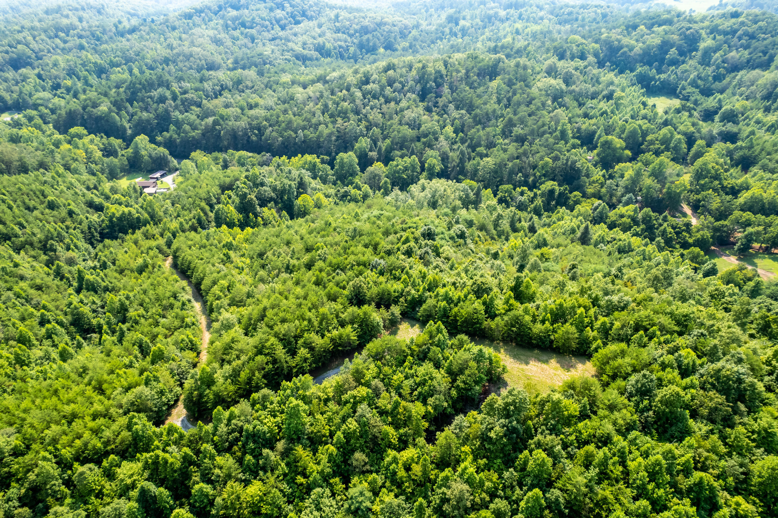 Allegheny Loop Rd Road Maryville, TN 37803 - Photo 21 of 40 6mile-28