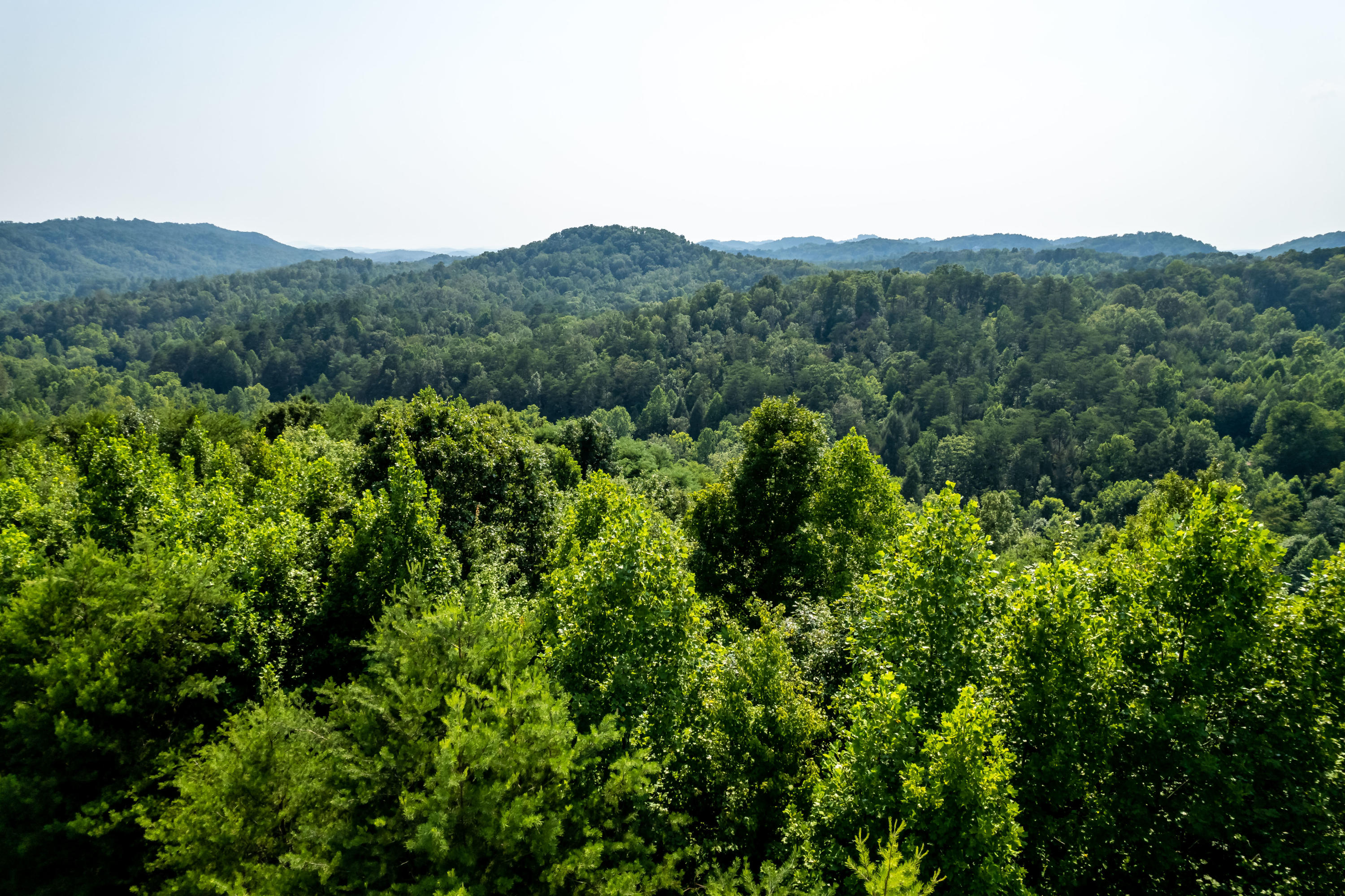 Allegheny Loop Rd Road Maryville, TN 37803 - Photo 23 of 40 6mile-25