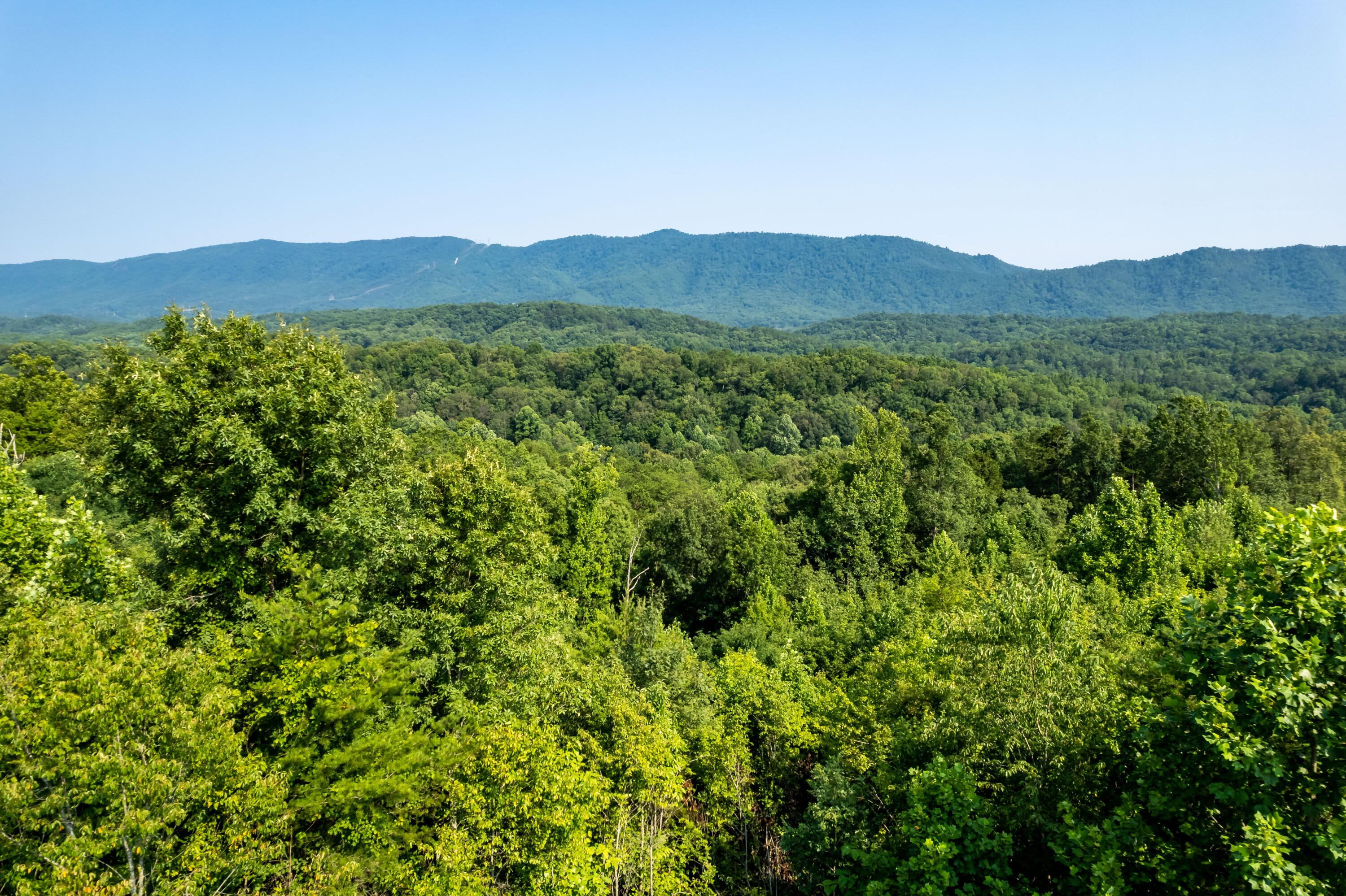 Allegheny Loop Rd Road Maryville, TN 37803 - Photo 24 of 40 6mile-21