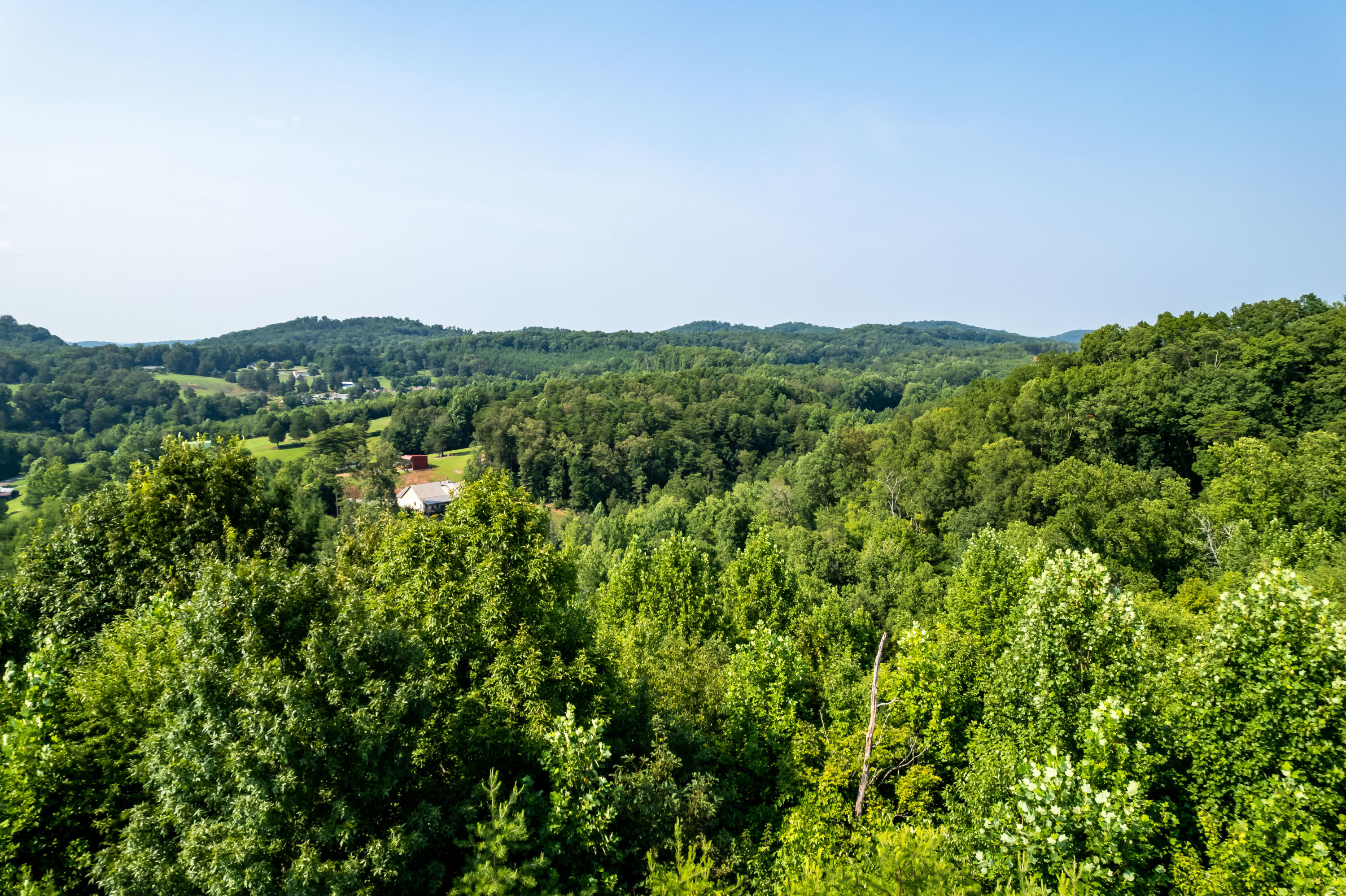 Allegheny Loop Rd Road Maryville, TN 37803 - Photo 25 of 40 6mile-23