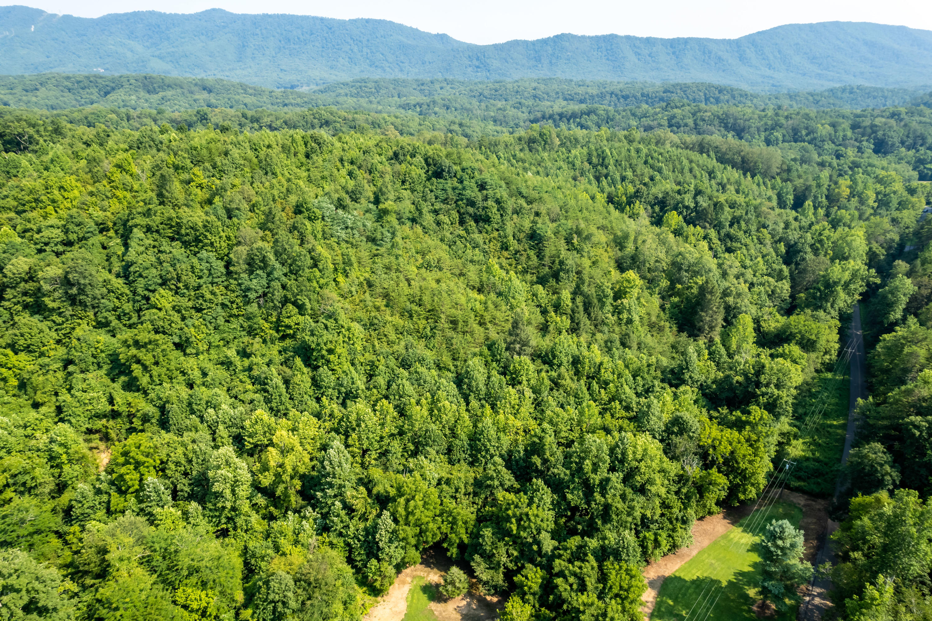 Allegheny Loop Rd Road Maryville, TN 37803 - Photo 27 of 40 6mile-17