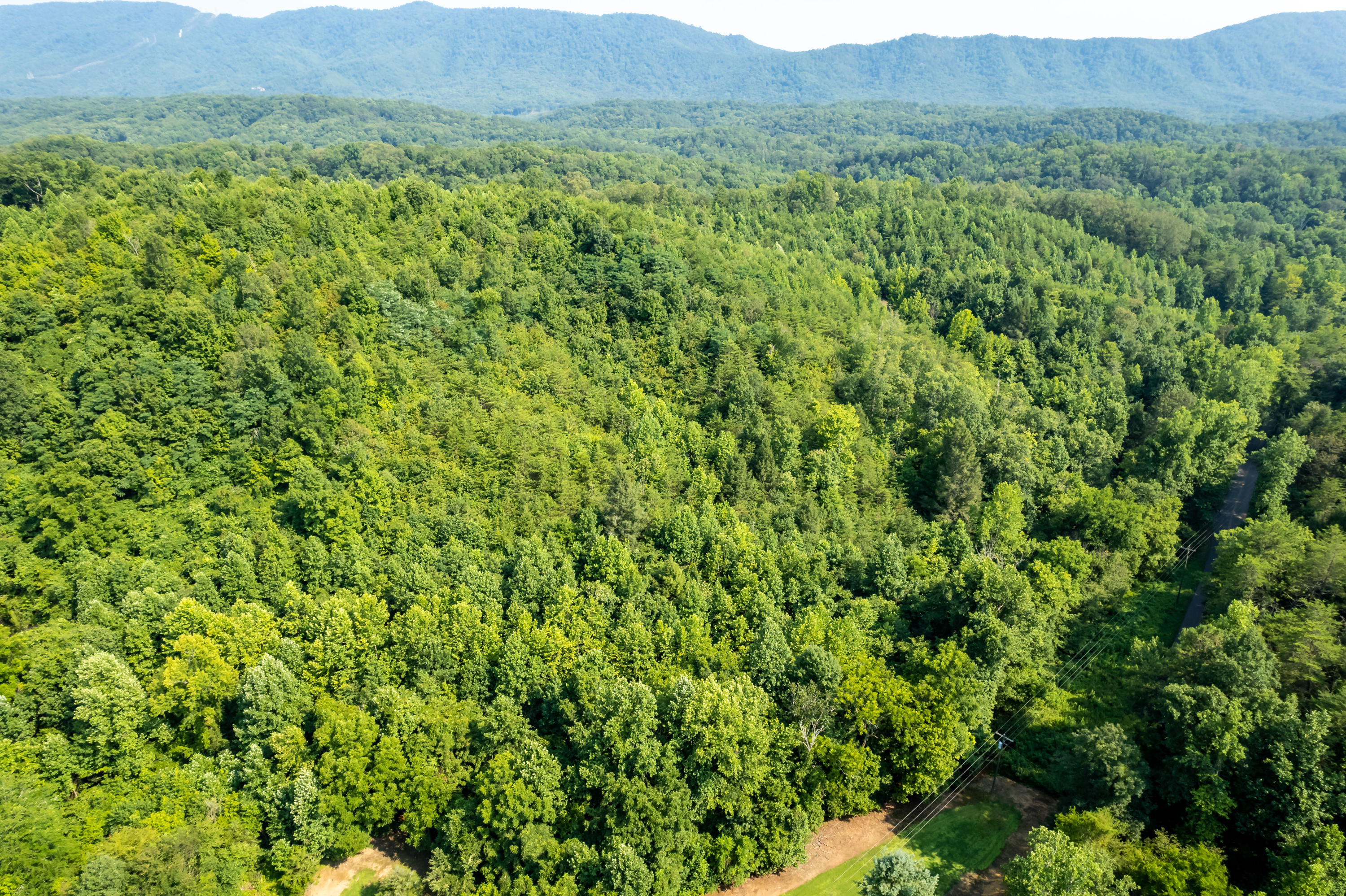 Allegheny Loop Rd Road Maryville, TN 37803 - Photo 28 of 40 6mile-16