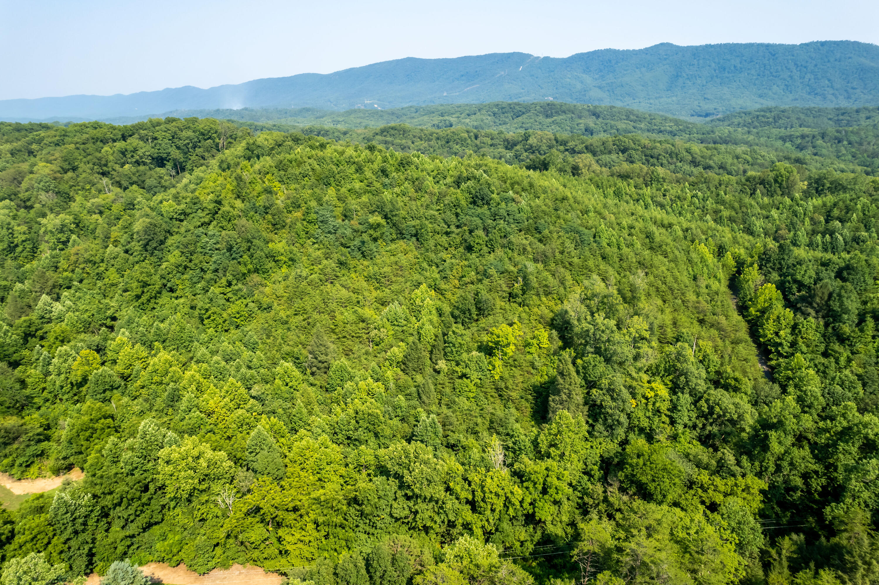Allegheny Loop Rd Road Maryville, TN 37803 - Photo 29 of 40 6mile-15