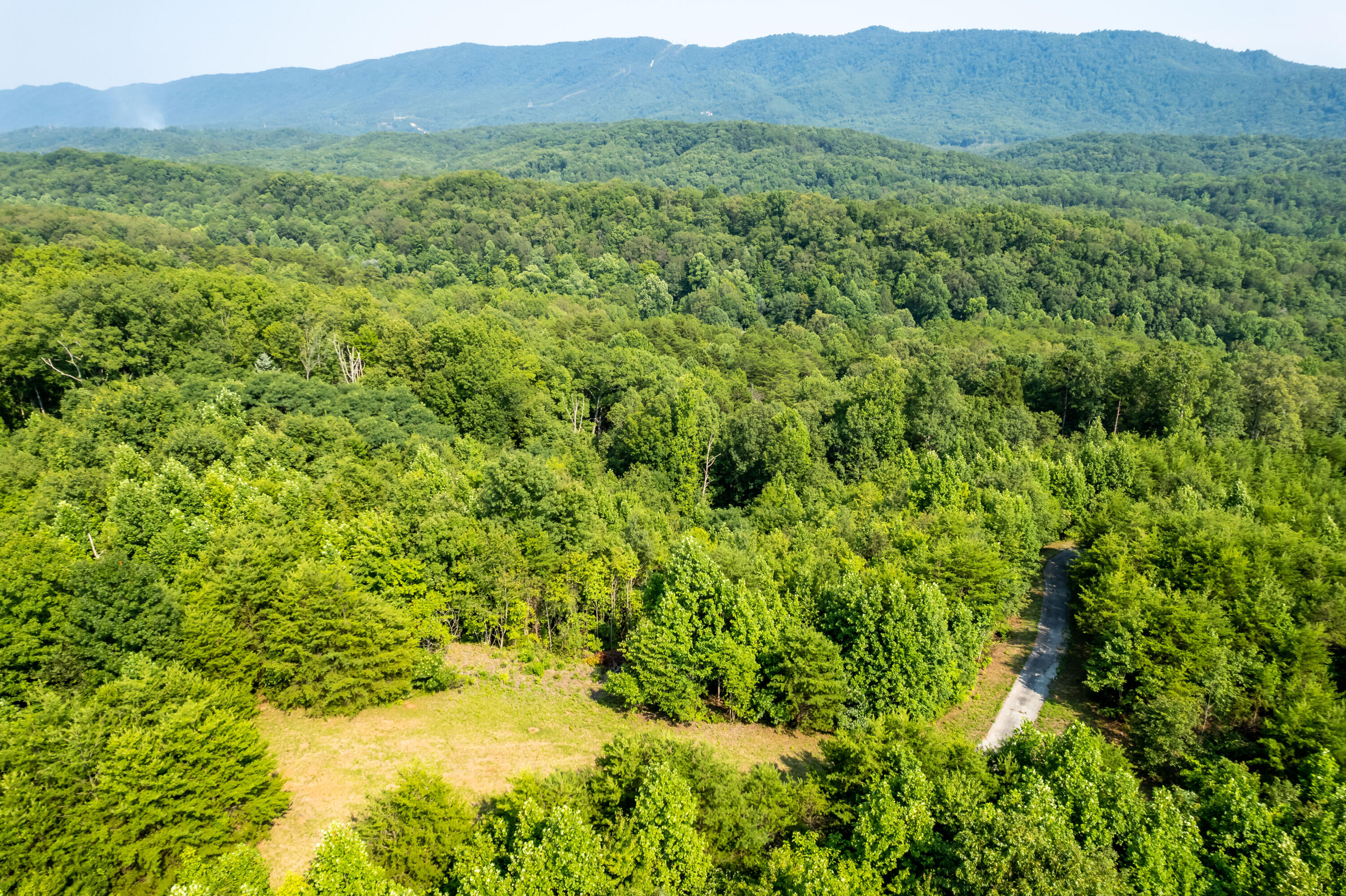 Allegheny Loop Rd Road Maryville, TN 37803 - Photo 4 of 40 6mile-19