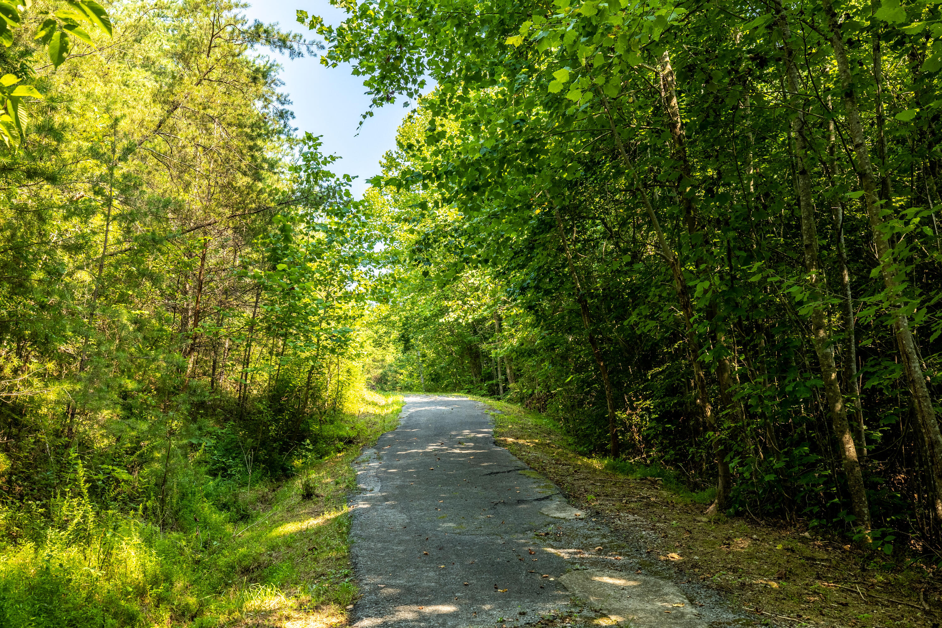 Allegheny Loop Rd Road Maryville, TN 37803 - Photo 32 of 40 6mile-9