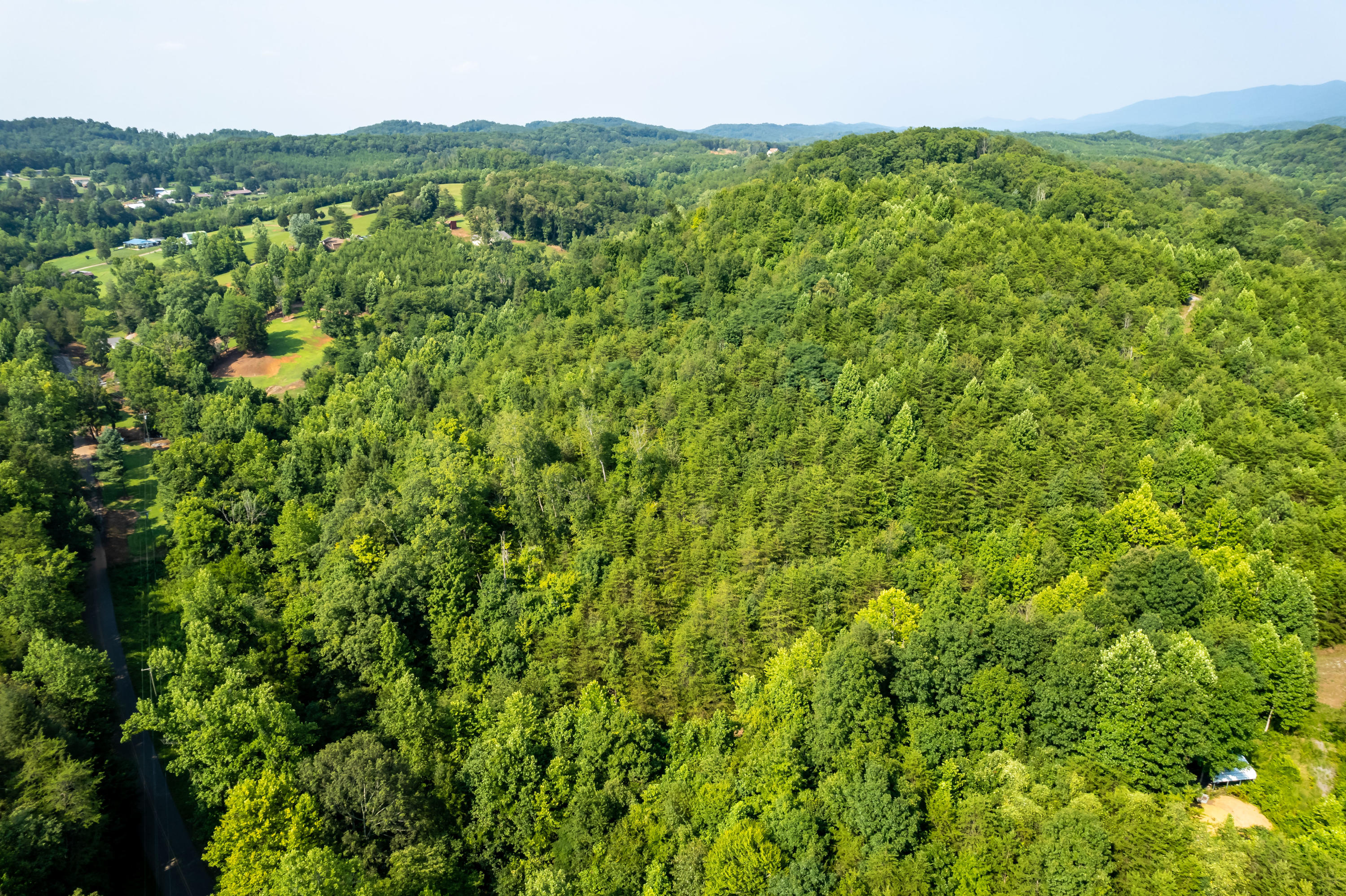Allegheny Loop Rd Road Maryville, TN 37803 - Photo 33 of 40 6mile-11