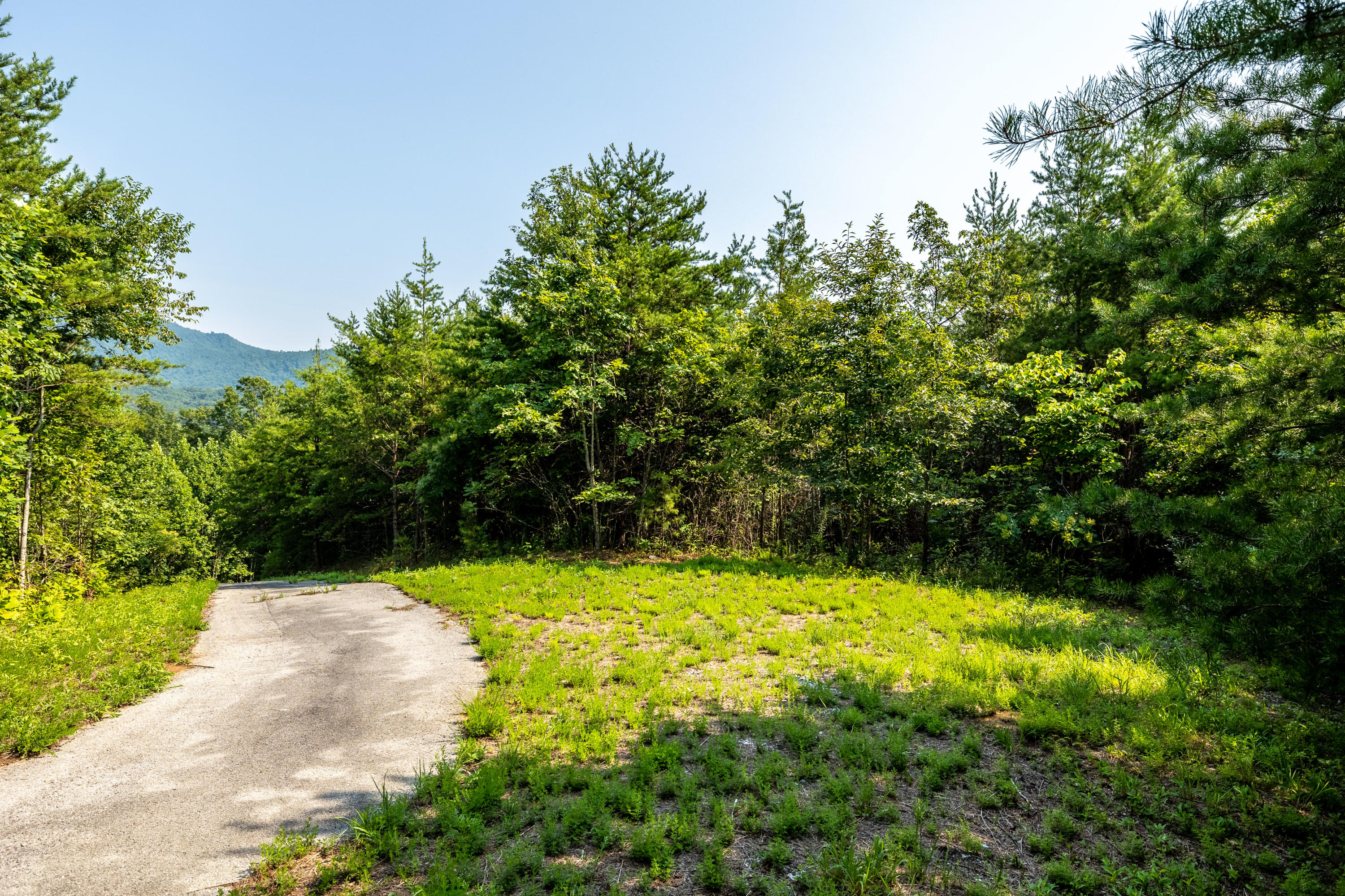 Allegheny Loop Rd Road Maryville, TN 37803 - Photo 35 of 40 6mile-6