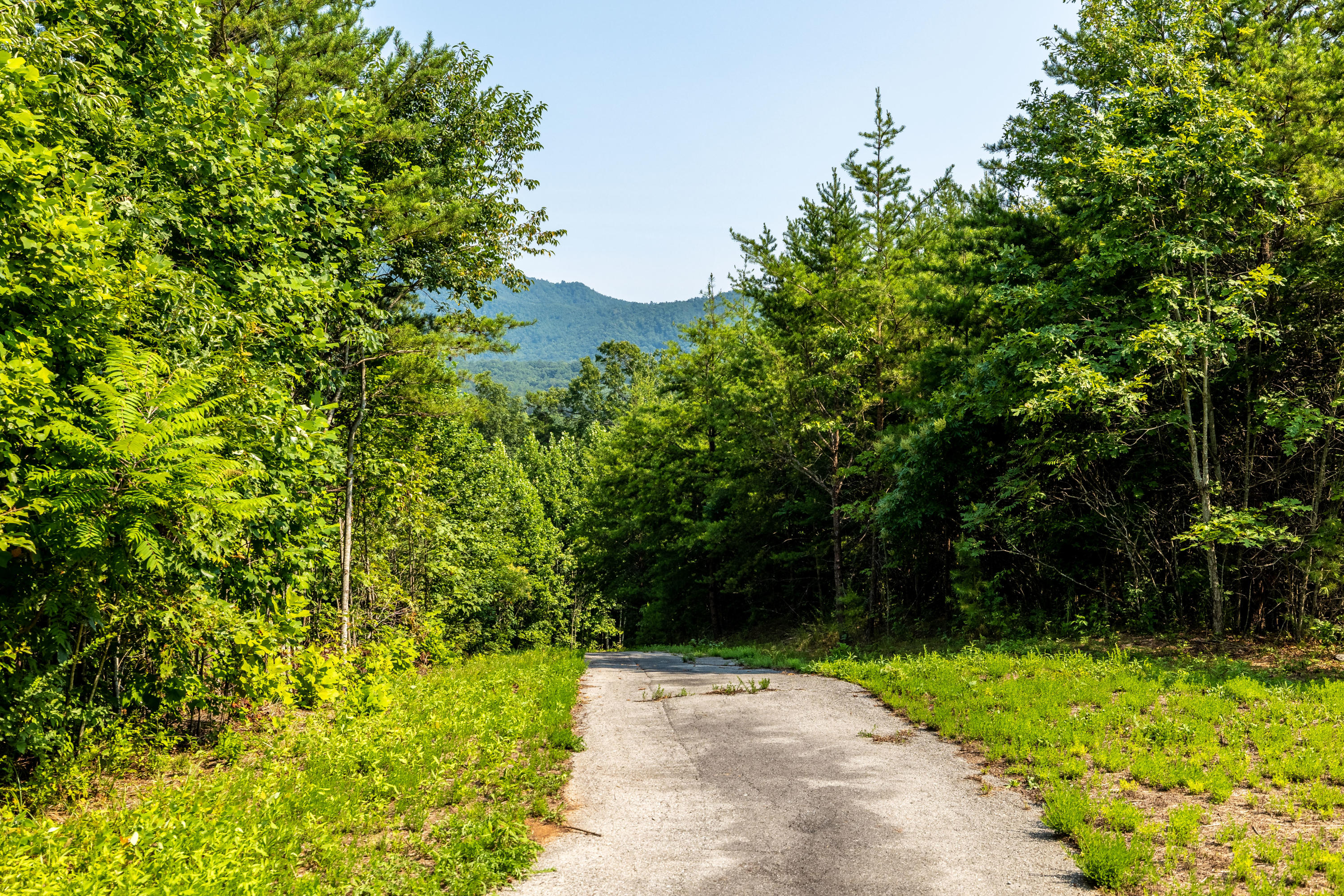 Allegheny Loop Rd Road Maryville, TN 37803 - Photo 36 of 40 6mile-5