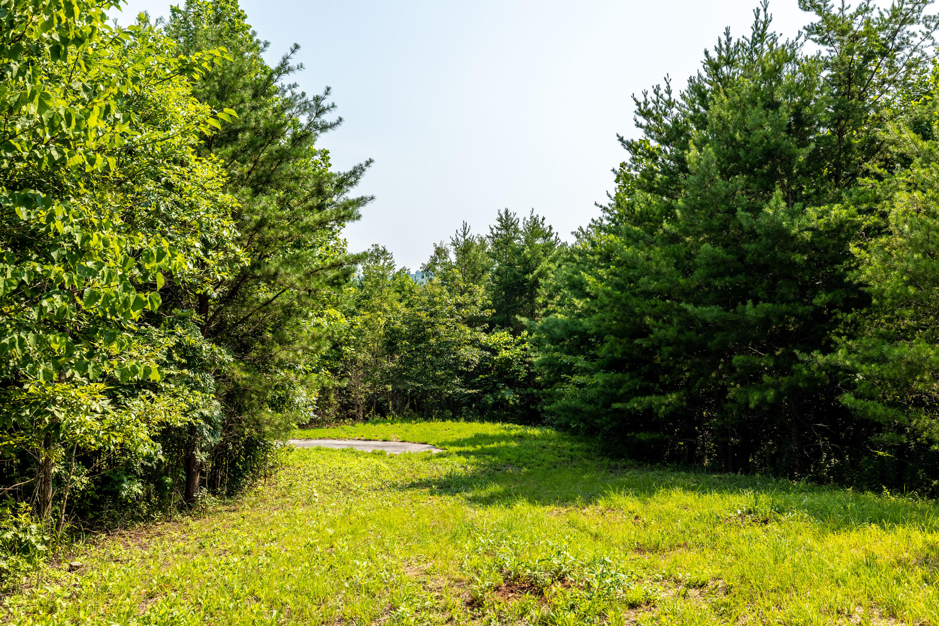 Allegheny Loop Rd Road Maryville, TN 37803 - Photo 40 of 40 6mile-1