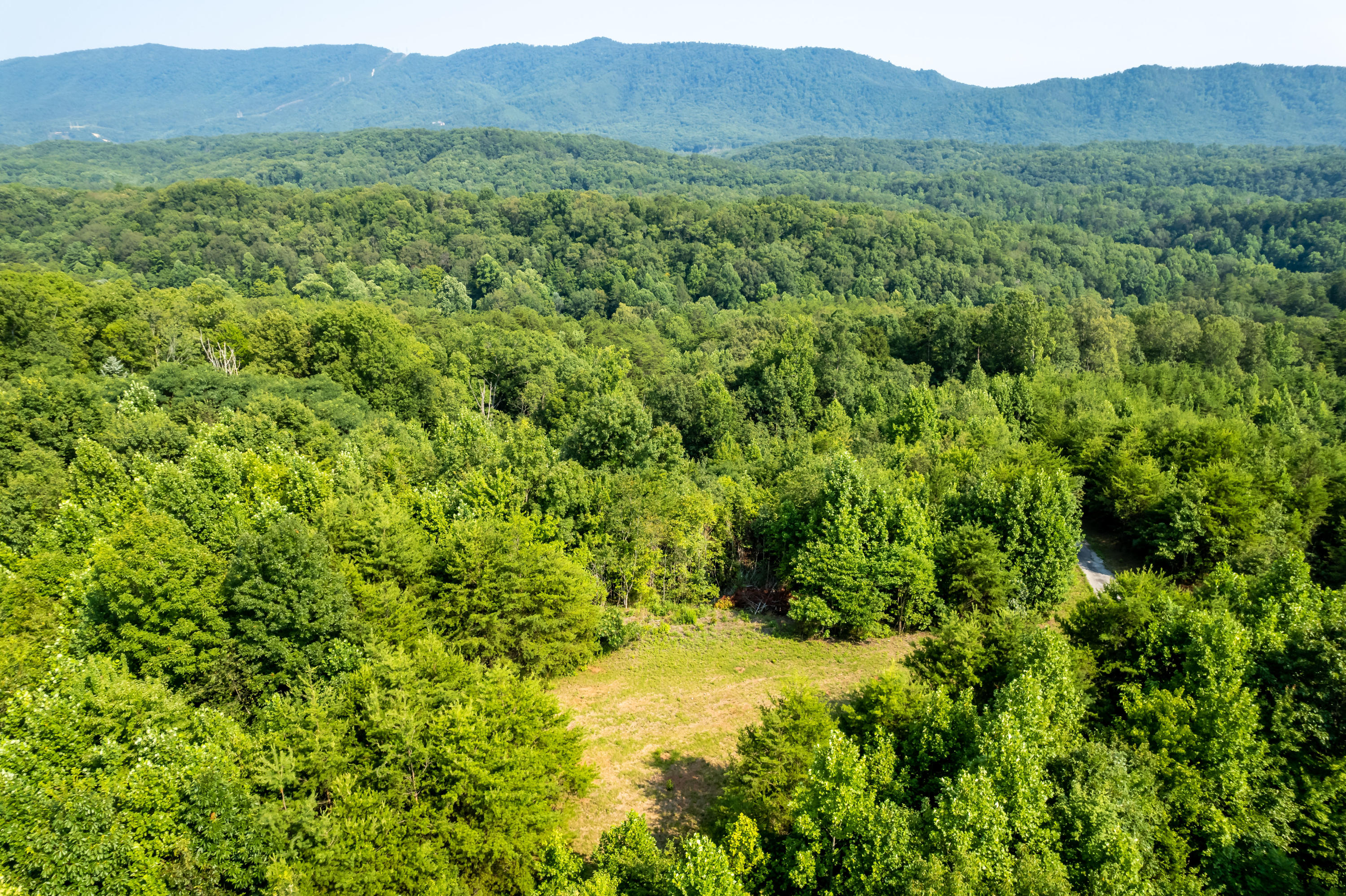 Allegheny Loop Rd Road Maryville, TN 37803 - Photo 5 of 40 6mile-18