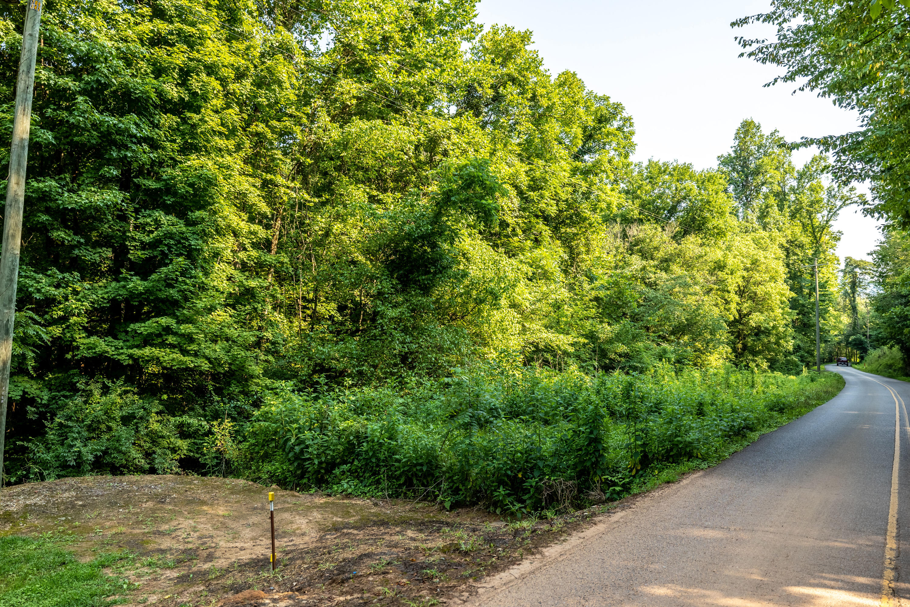 Allegheny Loop Rd Road Maryville, TN 37803 - Photo 6 of 40 6mile-43