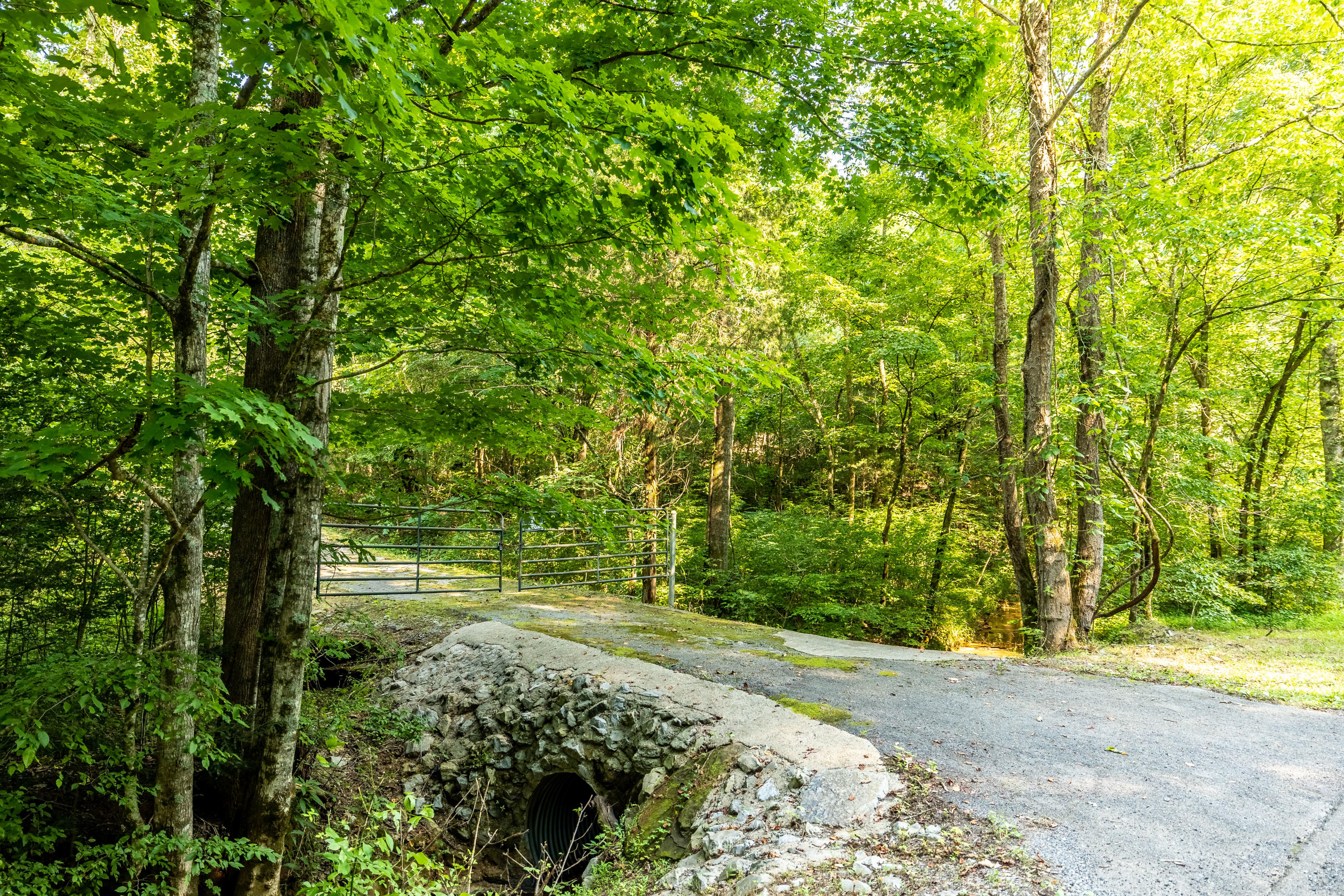 Allegheny Loop Rd Road Maryville, TN 37803 - Photo 7 of 40 6mile-42